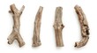 © TheWaterMeloonProjec - Four weathered driftwood branches isolated on white background