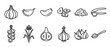 © Sophia - Garlic food ingredient line art icons set depicting whole bulbs, cloves, minced, sliced, and a press for cooking.