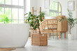 © Pixel-Shot - Houseplant in wicker basket and bathtub in interior of modern bathroom