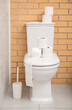 © Pixel-Shot - Paper rolls on ceramic toilet bowl against brick wall in restroom