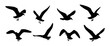 © Taslima - Seagull silhouettes, flying birds vector set, black silhouette seagulls, vector illustration