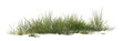 © Saharattaphum - grass isolated on white background/panoramic view of a fresh green grass clump, perfectly isolated for landscape design, garden rendering, and architectural foreground elements.