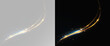 © Alehandro - Light line neon swirl effect glitter light fire flare trace magic sparkle trail element png