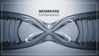 © SMZahid - Membrane compression illustration showing a semitransparent material being squeezed  scientific concept of pressure and deformation
