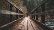 © Business Pics - person crossing wooden bridge with blured nature background