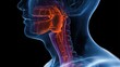 © 程 加星 - Medical illustration of Nasopharyngeal cancer focusing on head and neck oncology, nasopharynx tumor pathology, clinical diagnosis and professional targeted treatment research