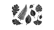 © ENDRY - Monochromatic Botanical Engraving Diverse HandDrawn Leaf Silhouettes on White Background.