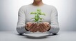 © phy - A person holding a small green plant in their hands, wearing a white shirt, standing in front of a white background.