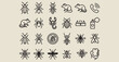 © Geetaroy - insect pest control icons, creepy crawler line art, exterminator service symbols, garden bug graphics, spider and ant elements, pest management illustrations, chemical treatment iconsTags: insect, pe