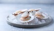 © KyraaCollective - Exquisite fresh seafood scallops beautifully arranged on a bed of crushed ice, showcasing their raw natural purity and gourmet appeal