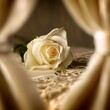 © ulf - Cream Wedding Rose with Diamond Ring on Lace, Elegant Bridal Still Life