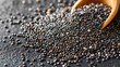 © Ruszalina - Pile of Chia Seeds on Dark Surface