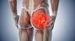 © Artfinity - Sciatica and hip joint inflammation. Orthopedic anatomy and muscle study. Rear view of human muscular anatomy showing a glowing red circular pain effect on the hip and gluteal area