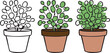 © Mstshuli - Hand Drawn Potted Plant Doodle Collection Showing Outline Flat Color and Painterly Sketch Styles