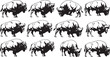© MonoCraft - Black and white bison silhouettes walking in various directions