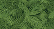 © Shonaly - Dense tropical jungle leaf pattern with various green palm and monstera leaves overlapping each other in a lush design.