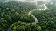 © Lyrick - Aerial view of tropical rainforest with winding river, lush green jungle canopy and morning mist, natural environment landscape
