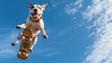 Playful white and brown dog jumping with skateboard in clear blue sky trick