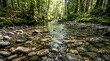 © mhmdyatt - Serene Forest Stream with Rocky Bed in Lush Green Nature Scene