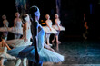 © Maria Moroz - ballerina performing on stage in a ballet production in white costume.