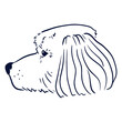 © Vexels - Black and white illustration of a dog's head