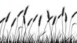 © Chaikit - Vector illustration of tall wheat stalks in silhouette style, thin stems and full grain heads swaying gently, black outlines on pure white background