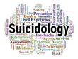 © Danawan Purbanggoro - Suicidology Word Cloud. A Visual Map of Risk Assessment, Psychache, Intervention Strategies, Postvention Support, and Interpersonal Theories within the Mental Health Landscape.