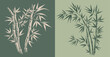 © Tatiana - Bamboo tree, Hand drawn style.