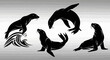 © Keysa - Collection of four black silhouette sea lions in various dynamic poses.