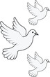 © Vector studio - Flying Doves White bird Illustration Pigeon Outline Set
