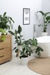 © New Africa - White bathtub and houseplants in stylish bathroom. Interior design