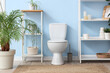 © Pixel-Shot - Interior of restroom with toilet bowl shelving unit and plant near blue wall