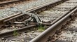 © twilight mist - Manual railway switch mechanism rests between steel tracks on a gravel bed.
