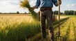 © Abdul - Farmer Holding Wheat Bundle in Field