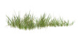 © Saharattaphum - green grass isolated on white/High Resolution Green Grass Border Isolated on White Background for Architectural Rendering