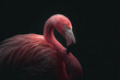 © Enrique - Tight frame of a glowing pink flamingo surrounded by dark ambiance