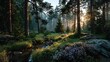 © diyanskb1018 - Peaceful morning forest with fog and glowing sunbeams pictures