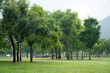 © 정의 박 - Lawns and trees in Ungilsan Waterfront Park