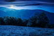 © Pellinni - mountainous landscape in summer at night. picturesque highland woods. full moon over grassy meadow. view of carpathian mountains countryside with deciduous forest on a hill behind the pasture
