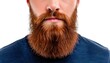 © art - Close-up of a man with a full, well-groomed red beard.