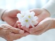 © Jumpei - 高齢者と若者が優しく手を重ねてその上に白い桜の花を乗せているカット