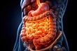© Rawpixel.com - Detailed human digestive system illustration.