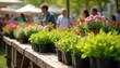 © Pete - Outdoor plant market offers colorful flowers and green herbs in pots. Shoppers select plants for spring gardening and home decoration. Lively atmosphere with variety of flora for sale.
