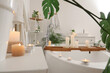 © Pixel-Shot - Interior of bathroom with bathtub, plants and burning candles