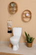 © Pixel-Shot - Interior of stylish bathroom with houseplant and ceramic toilet bowl near beige wall