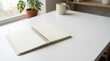 © Mudassar - Minimalist workspace with notebook and plant isolated on white background