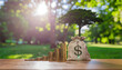 © RidOne - Financial growth and sustainable investment concept with ascending coins, a money bag, and a tree, symbolizing prosperity and ecological balance in a natural setting
