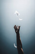 © mur - 白い羽に手を伸ばす | Reaching out to the white feathers Generative AI