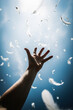 © mur - 白い羽に手を伸ばす | Reaching out to the white feathers Generative AI