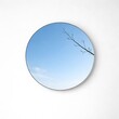 © Svets - round mirror reflecting blue sky branch
